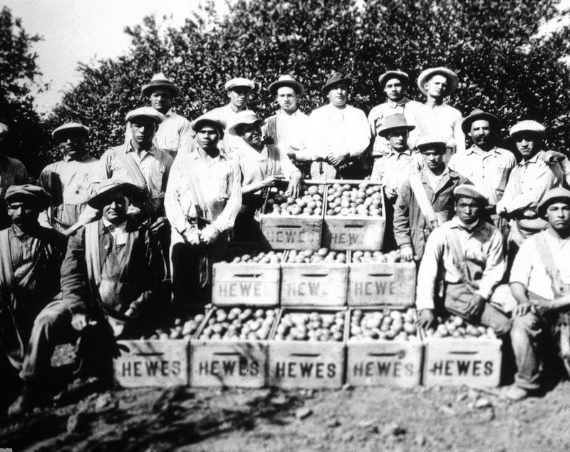 Orange County Immigrant Workers, 1920s