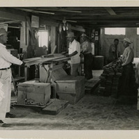 Men sawing wood at Minidoka Relocation Center